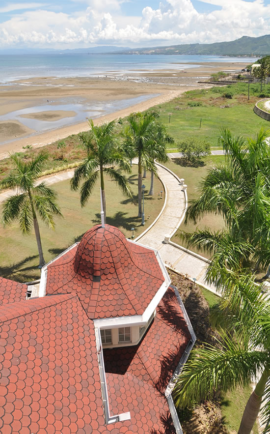Talisay City Cebu Real Estate Home Lot For Sale At Escala