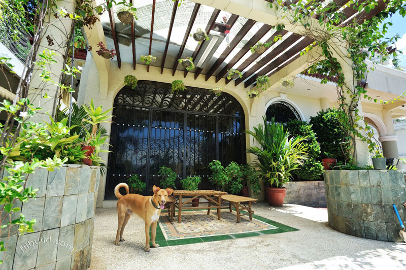 Real Estate Luxury Home For Sale in Olongapo City Real Estate Luxury Home For Sale in Olongapo City