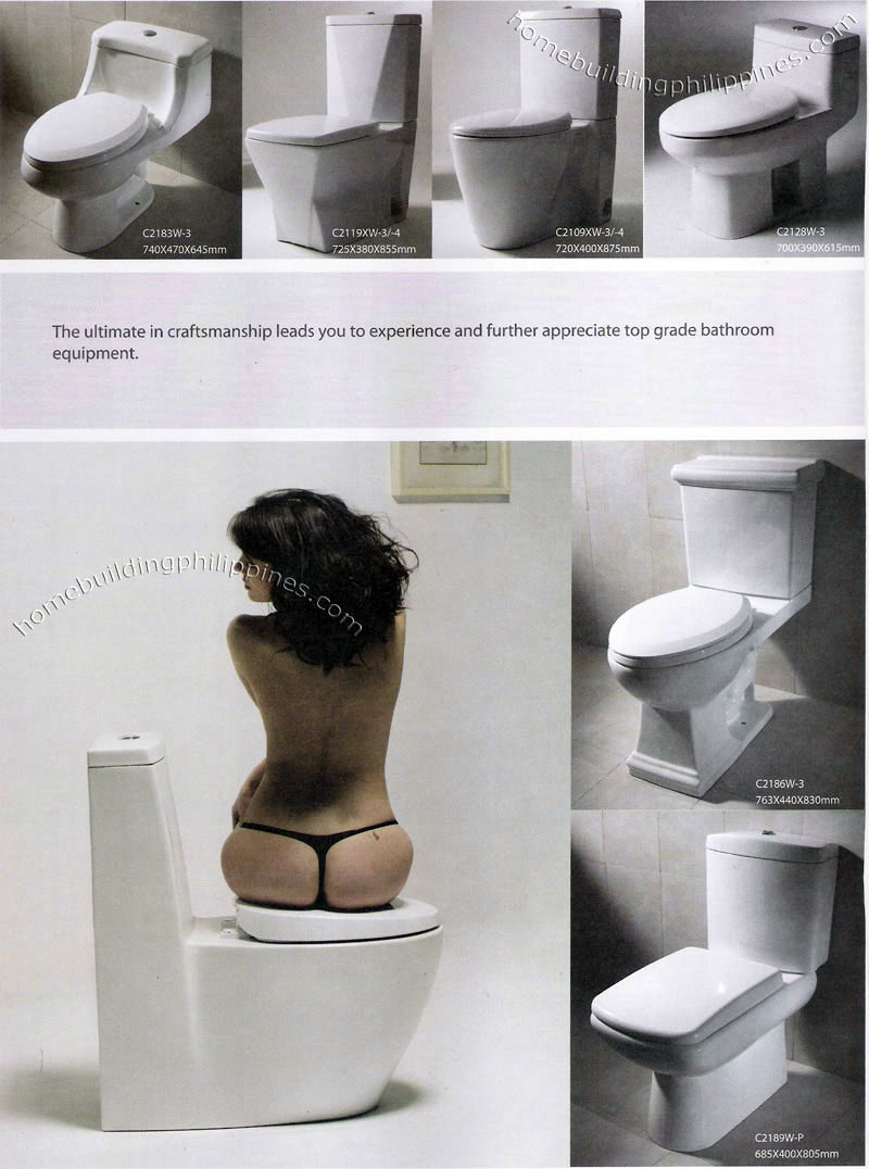 Bathroom Toilet Designs Vanity Water Closet Philippines